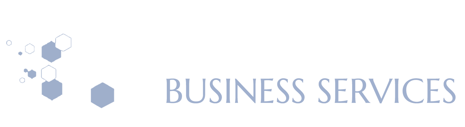 Insight Hub Business Services